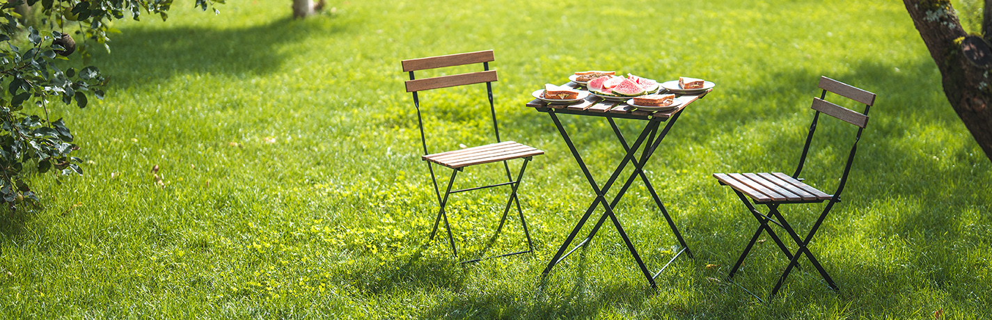 Healthy green lawn