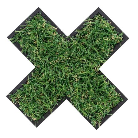 Lawn Care Derby
