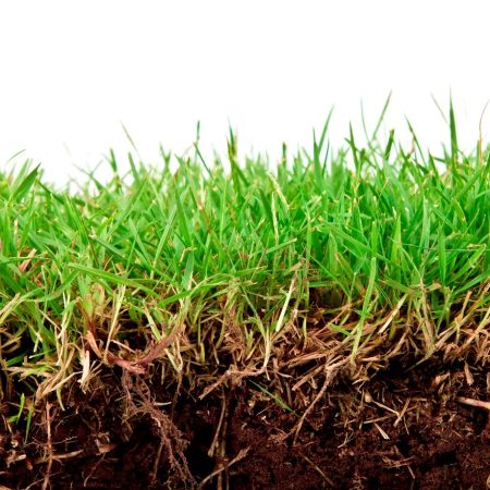 Lawn Treatment Allestee